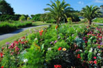 Queen Mary Gardens